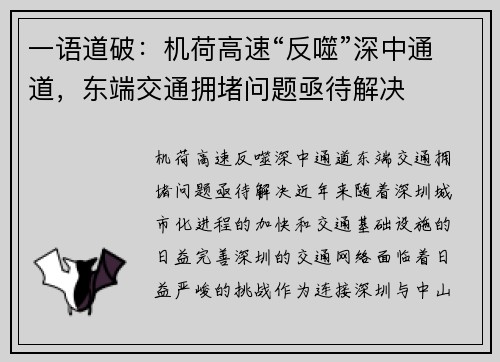 一语道破：机荷高速“反噬”深中通道，东端交通拥堵问题亟待解决