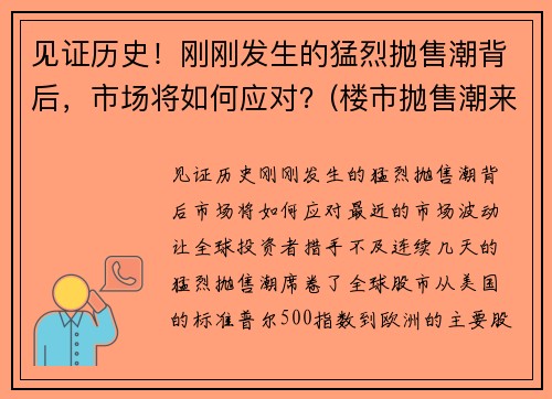 见证历史！刚刚发生的猛烈抛售潮背后，市场将如何应对？(楼市抛售潮来袭)